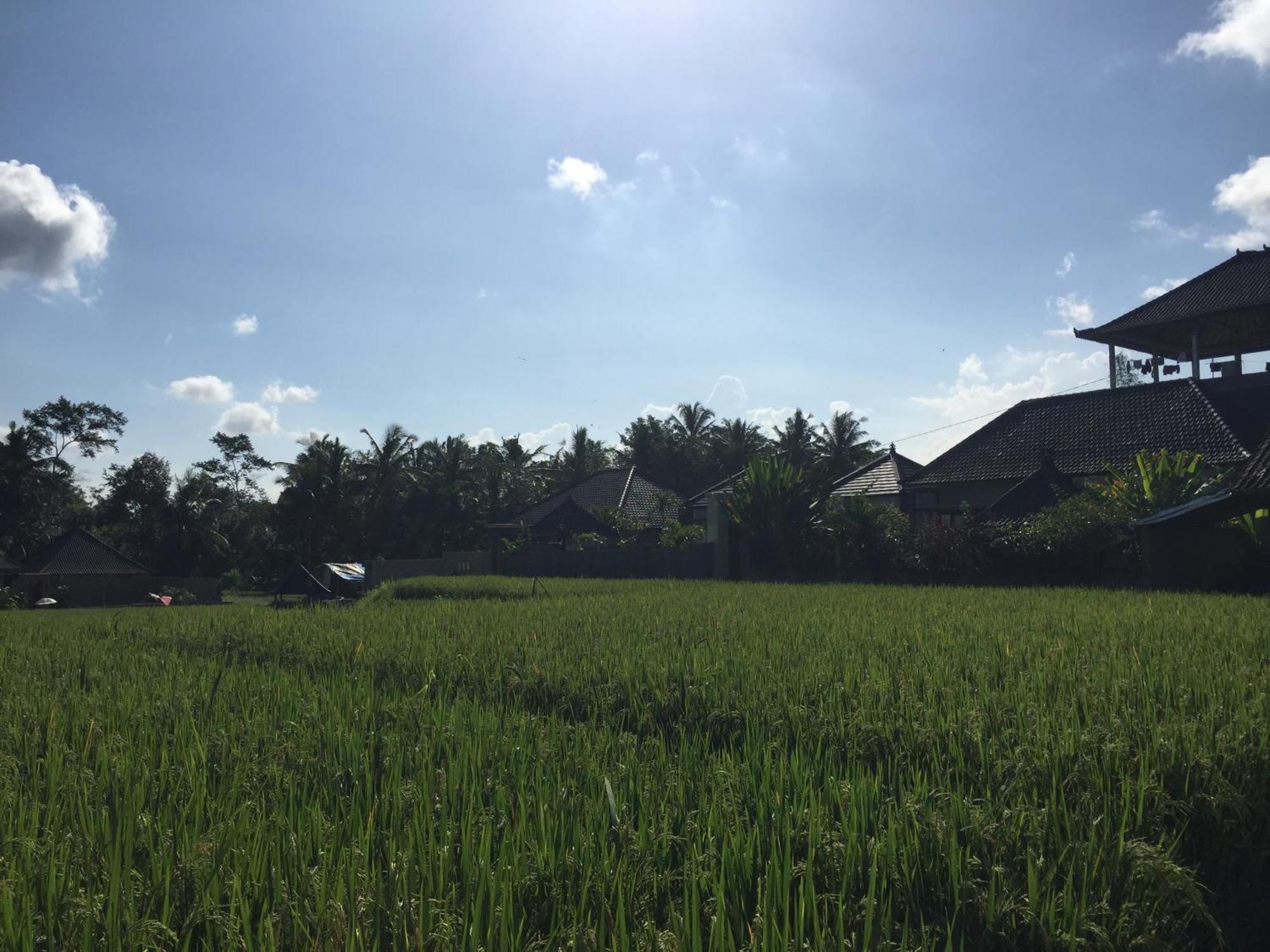 Ratna Villa Ubud Quarto foto