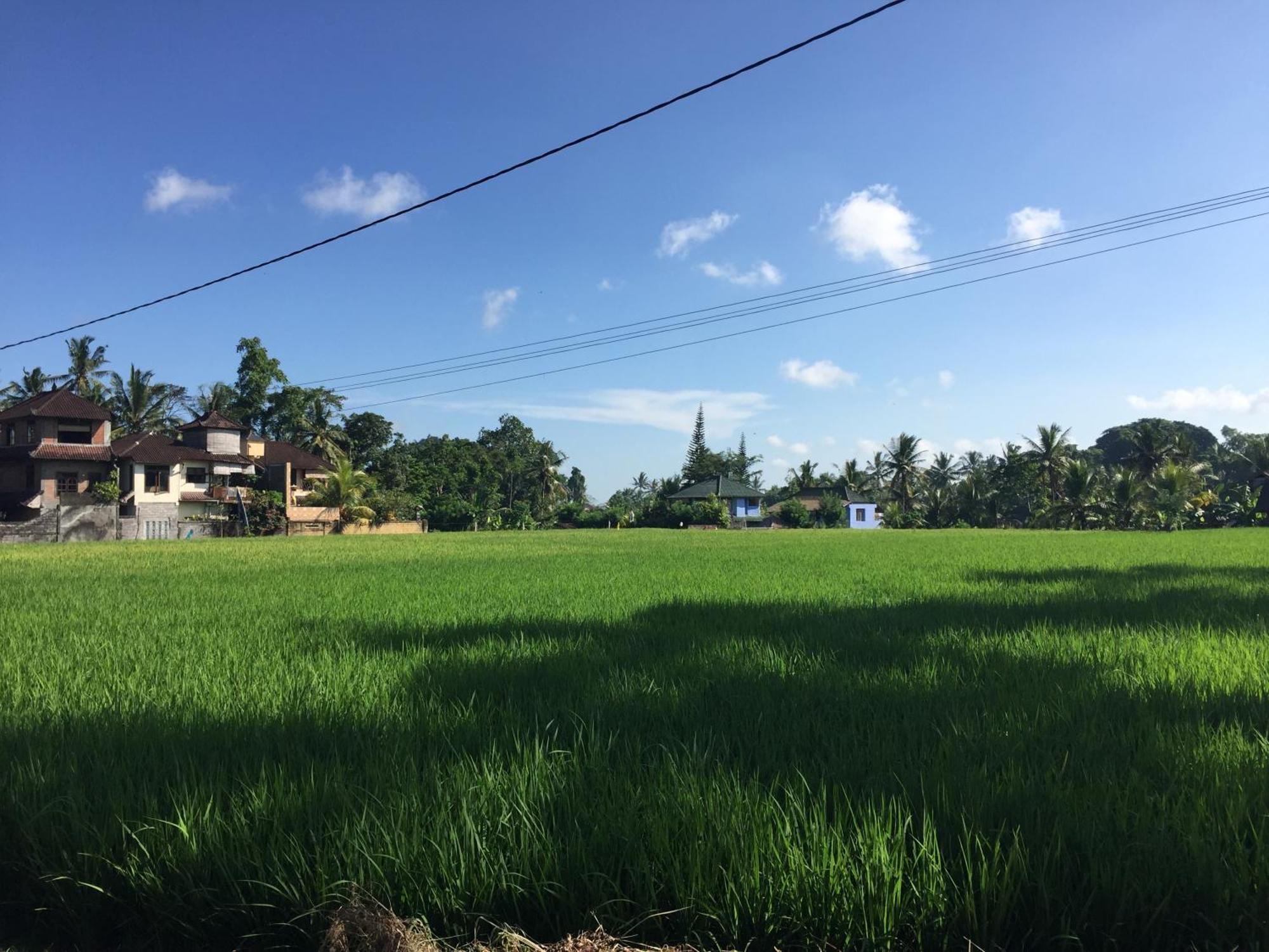 Ratna Villa Ubud Quarto foto